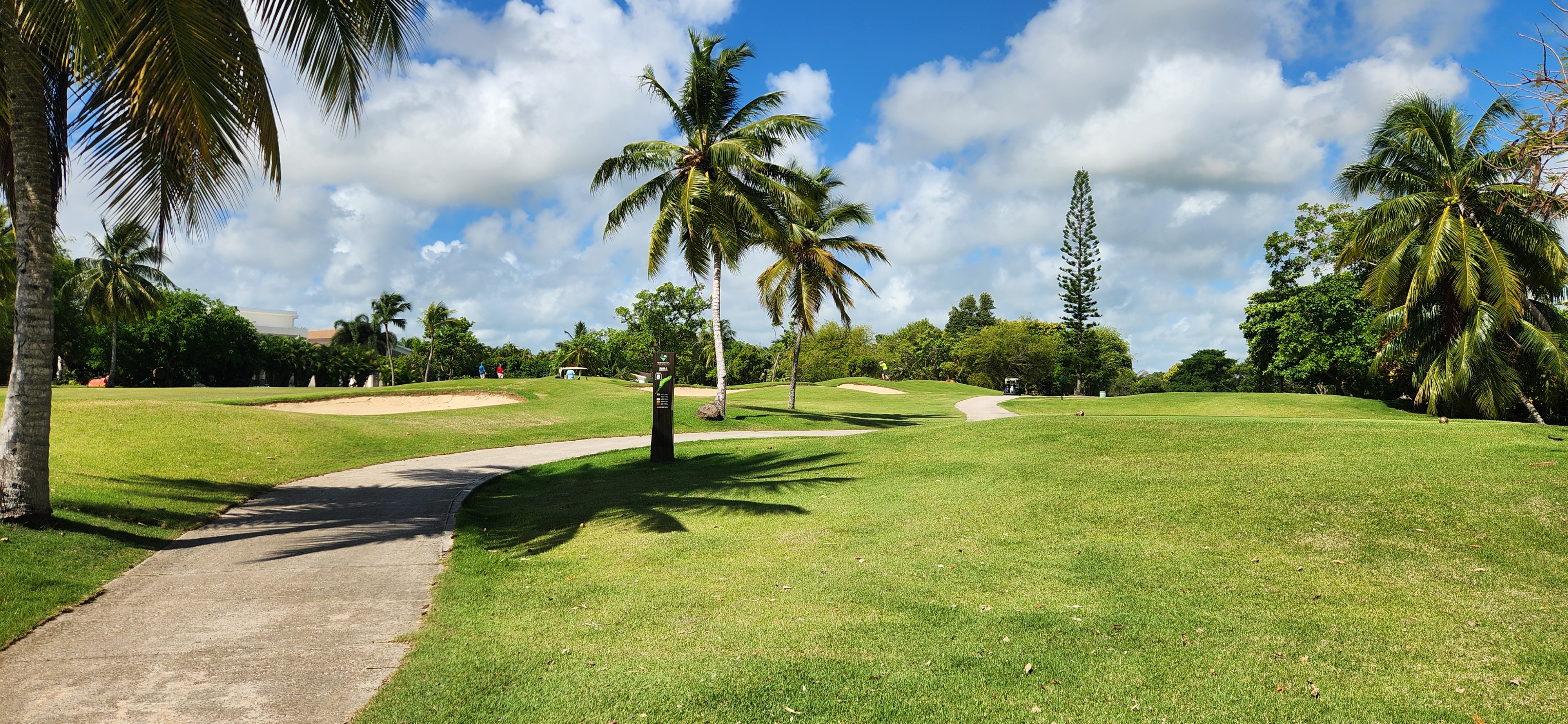 Cocotal Golf Club fairway with mature palms and blue sky