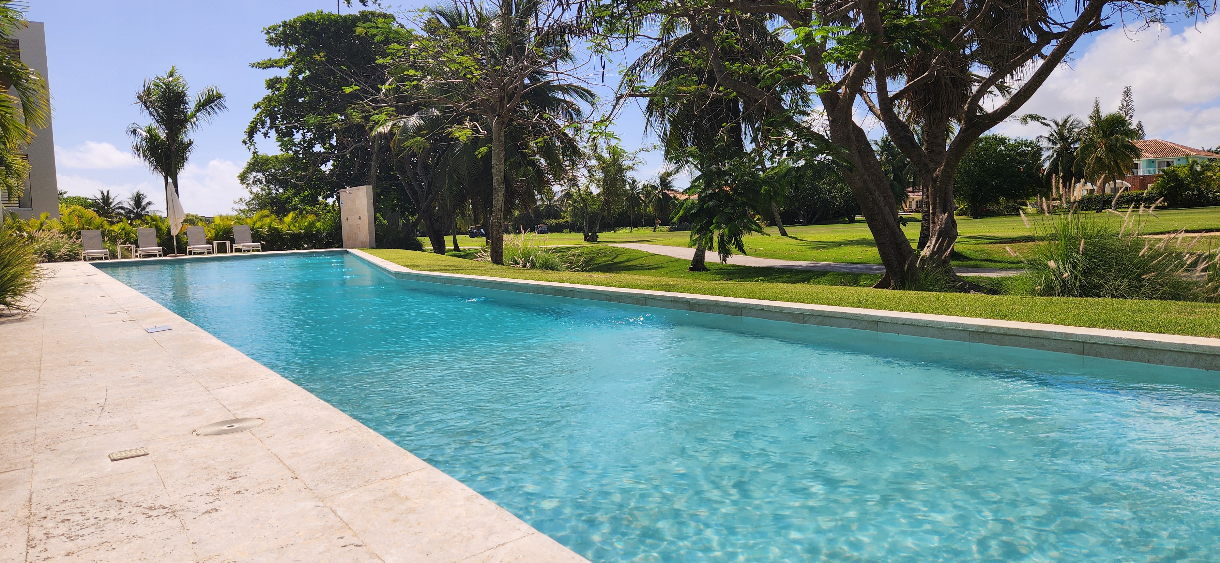 Long resort-style pool with travertine deck and tropical palms